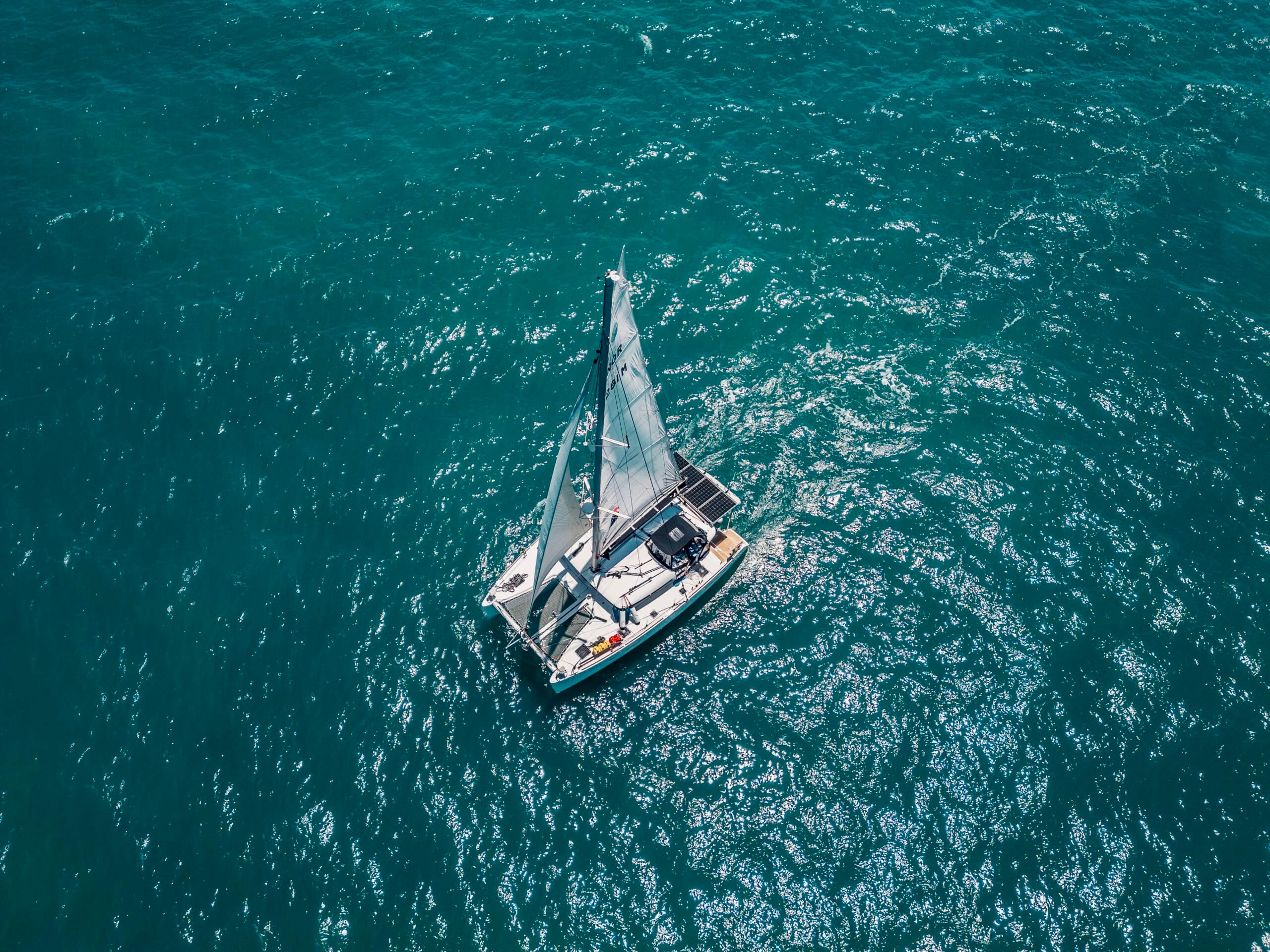Catamarans in a marina